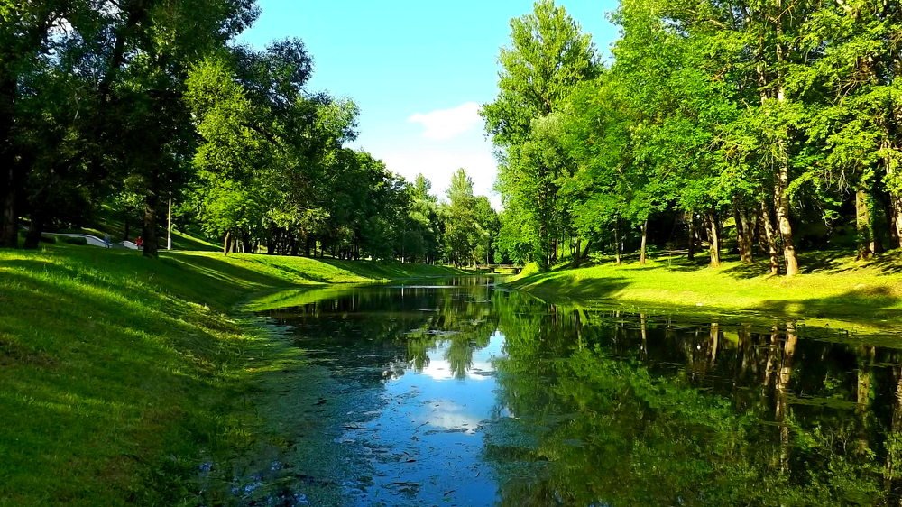 Photo #3724563