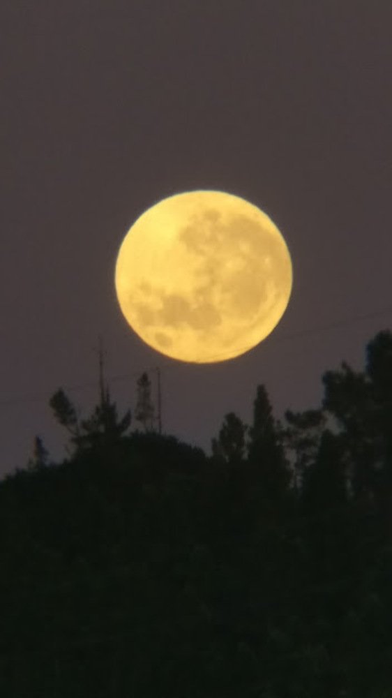 Moon over Waitakere