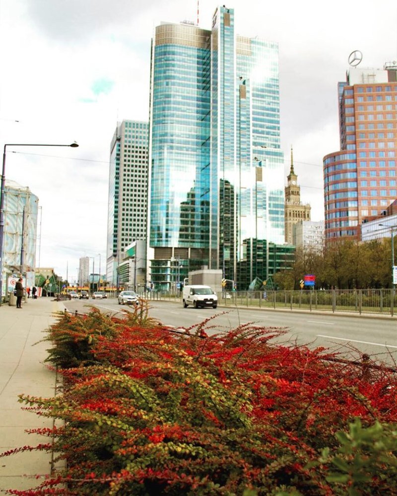 Photograph by Viktoriia Shtefanesa