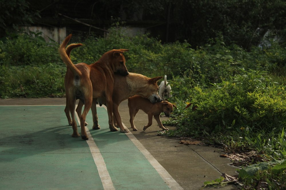 Photograph by Yaswanth Ashok