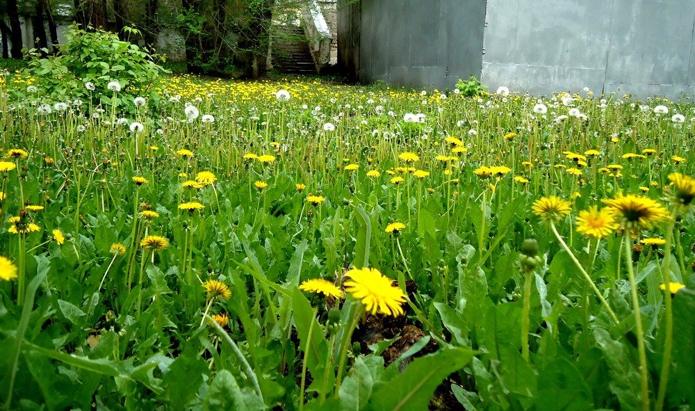 Photograph by Сергей Хвостовец