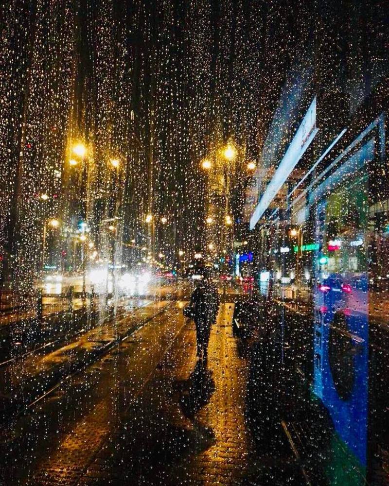 Photograph by Viktoriia Shtefanesa