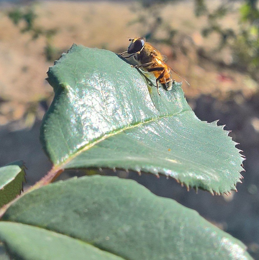 Photograph by Umida Yusupova