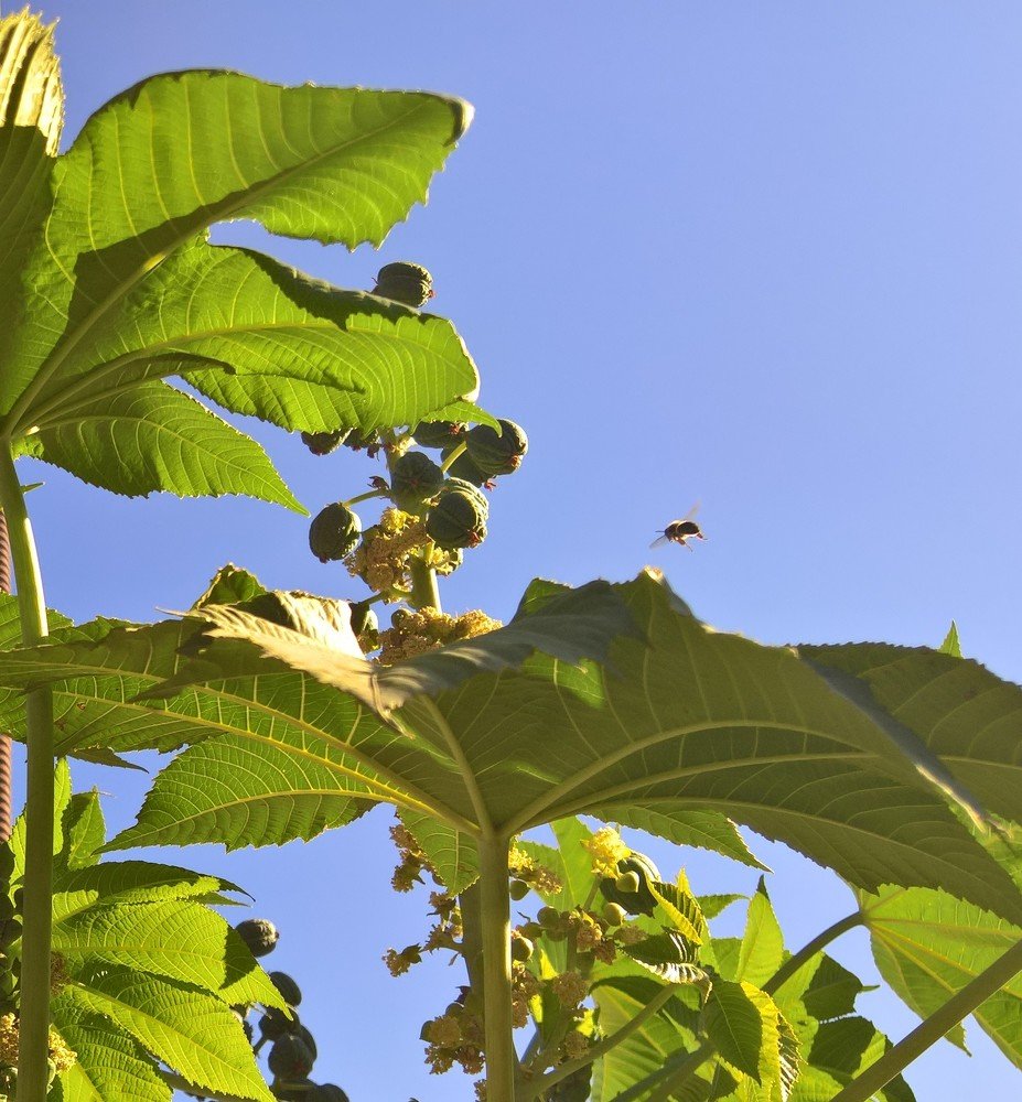 Photograph by Umida Yusupova