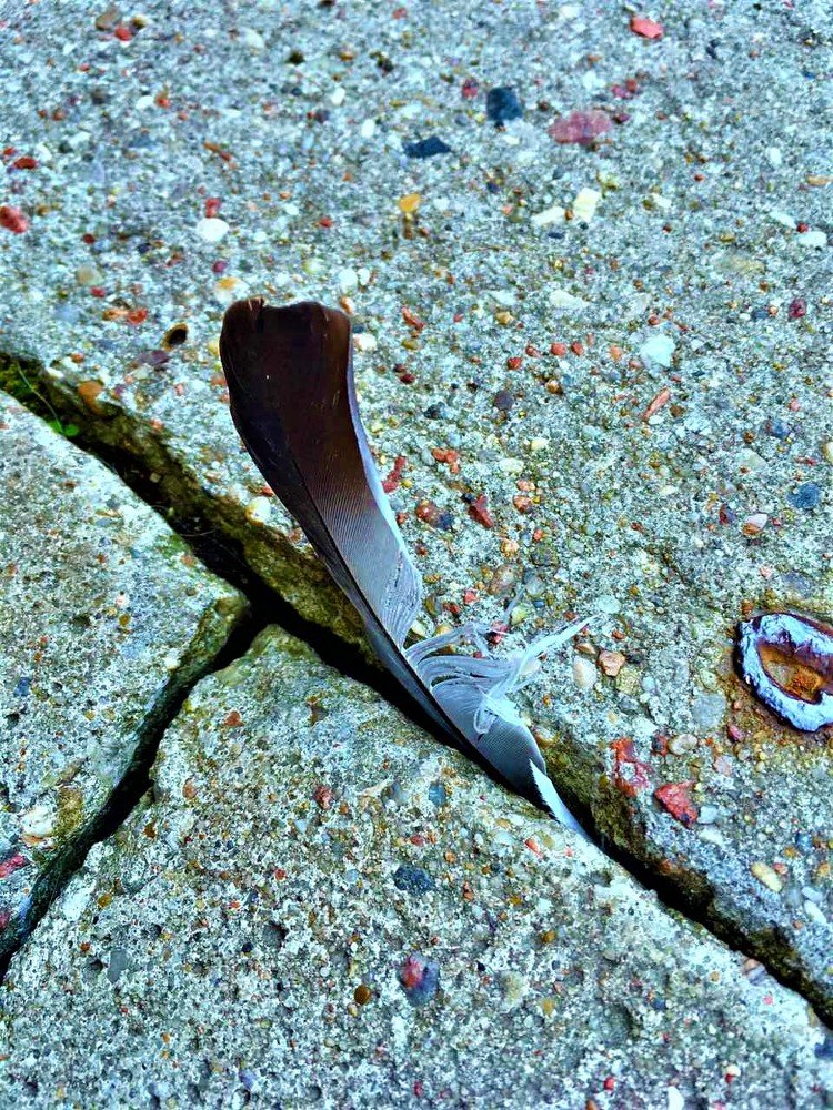 Photograph by Viktoriia Shtefanesa