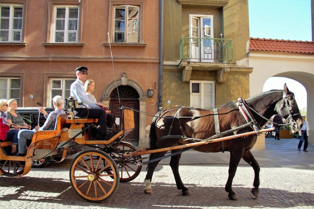 Photograph by Viktoriia Shtefanesa