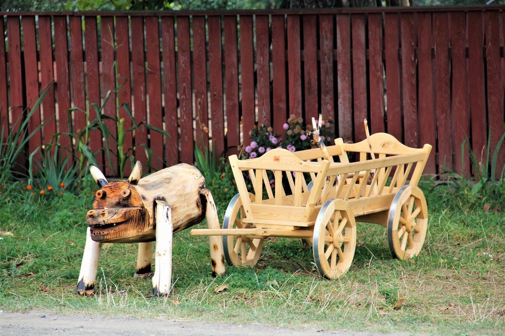 Photograph by Viktoriia Shtefanesa