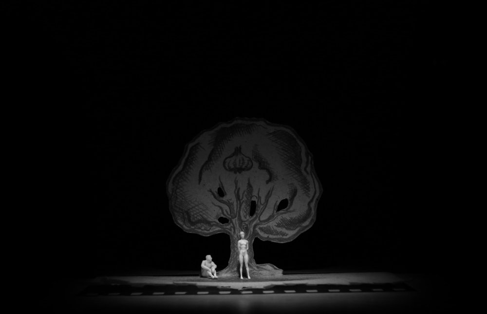 Photograph by владимир носальский