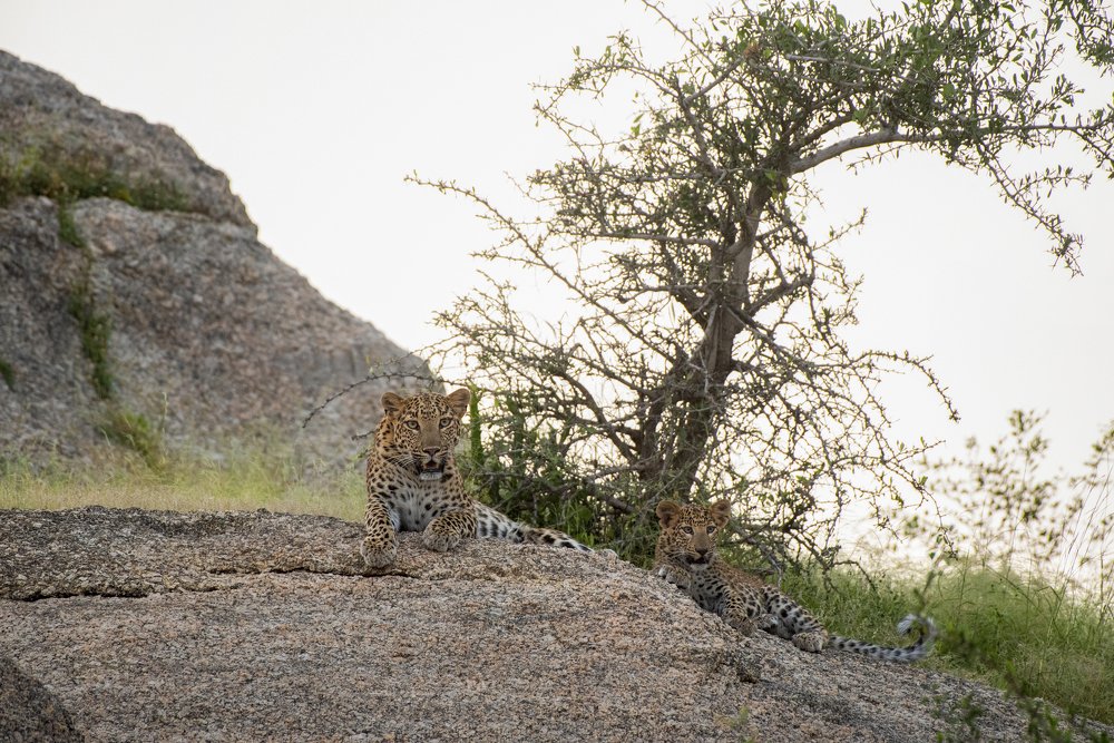 Like mother like son!