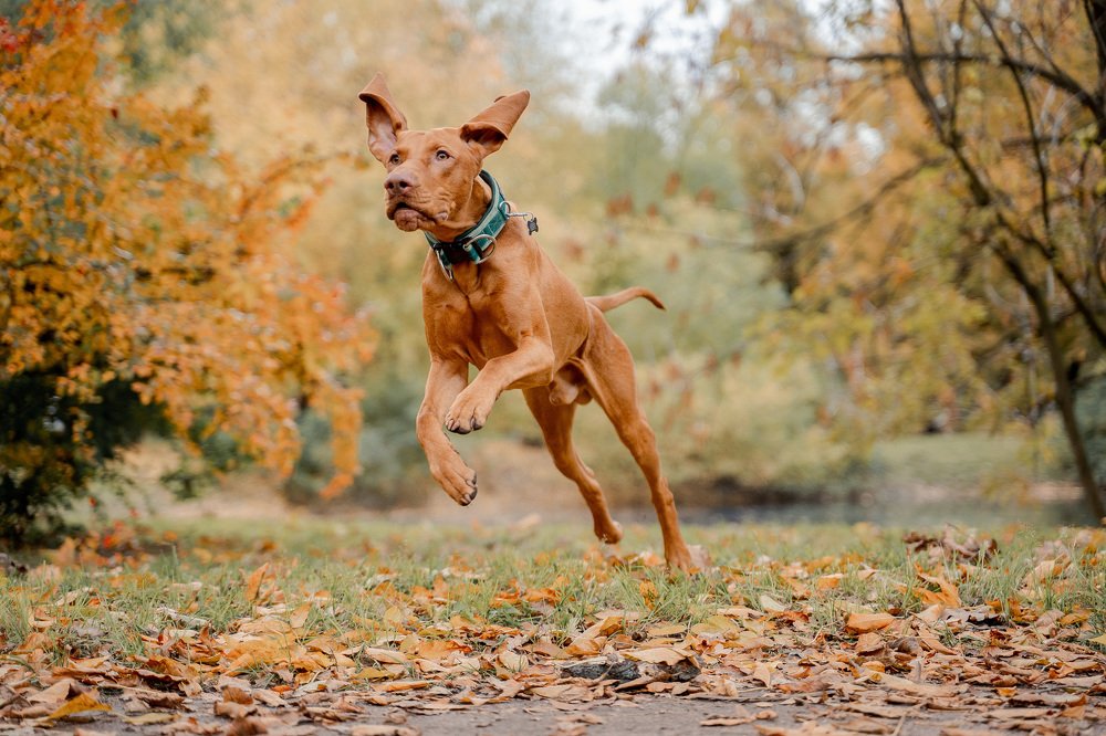 Photograph by Анна Войнова