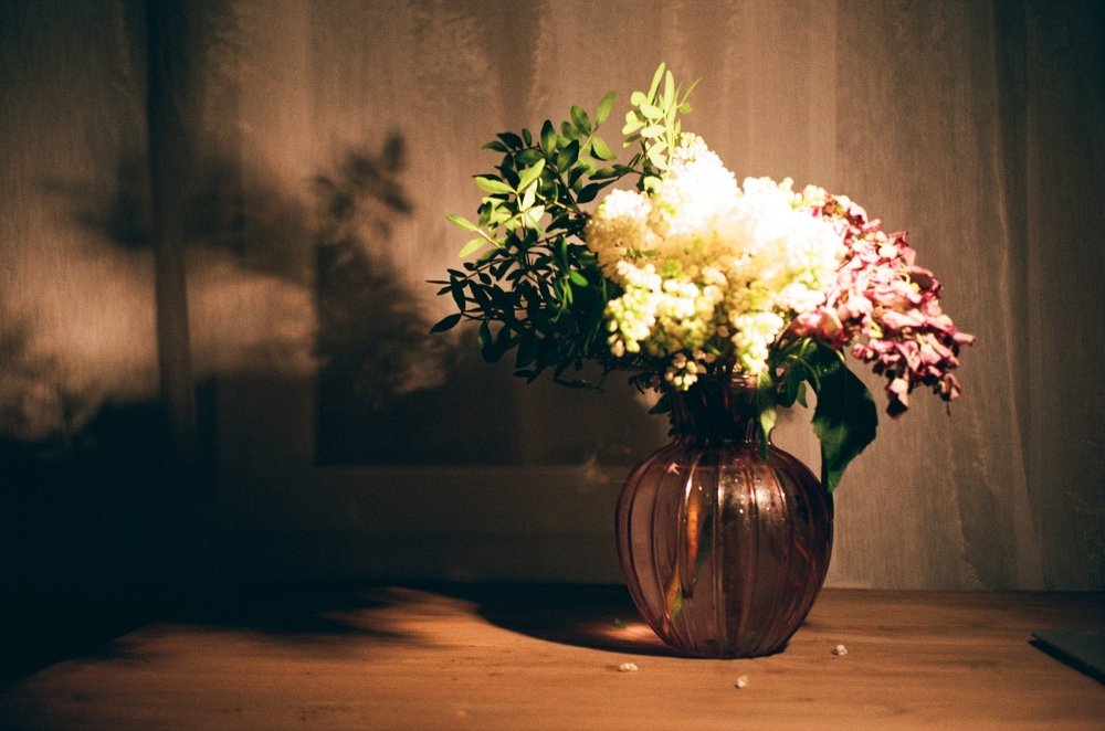 Photograph by Natalia Gotovko