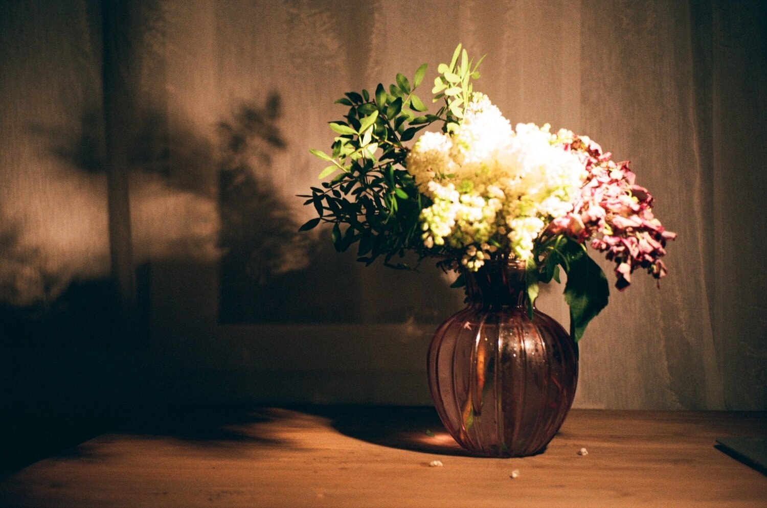 Photo #3724988
