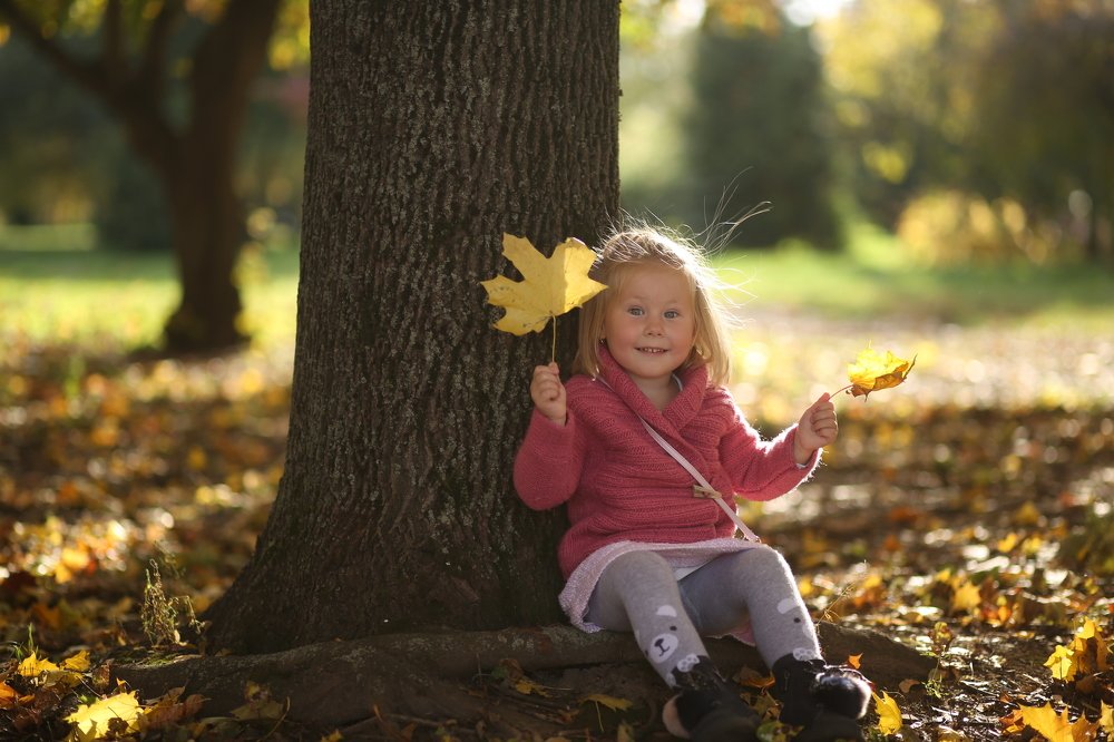 Кленовый лист