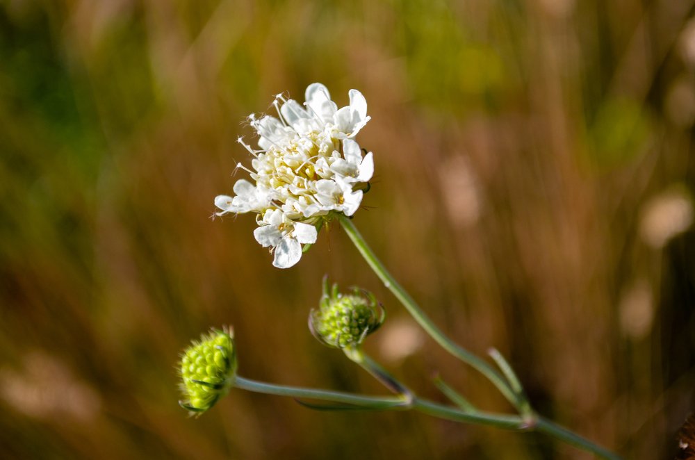 Photograph by Виктория Чушкина
