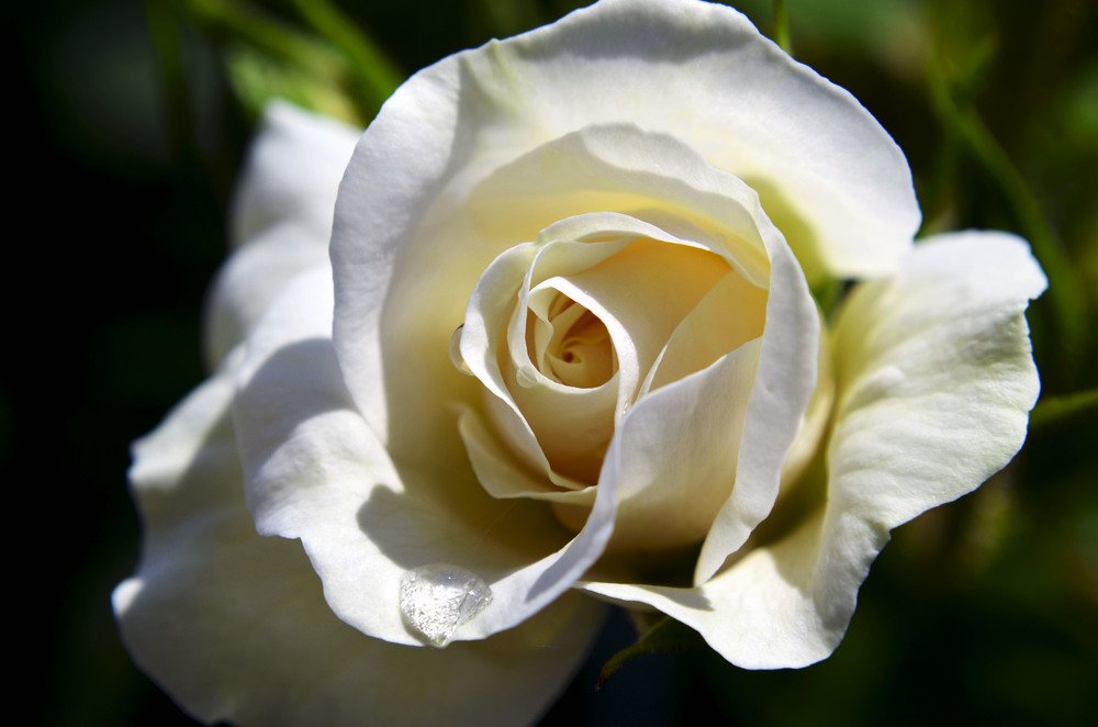 Photograph by Виктория Чушкина