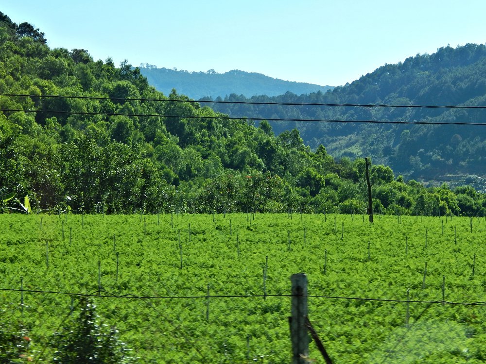 Photograph by Юрий Худяков