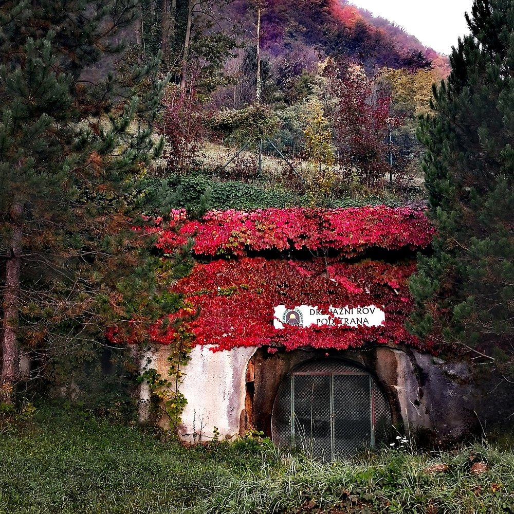 Photograph by Mateja Jaušovec