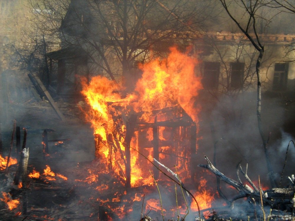 Photograph by Игорь Улитин