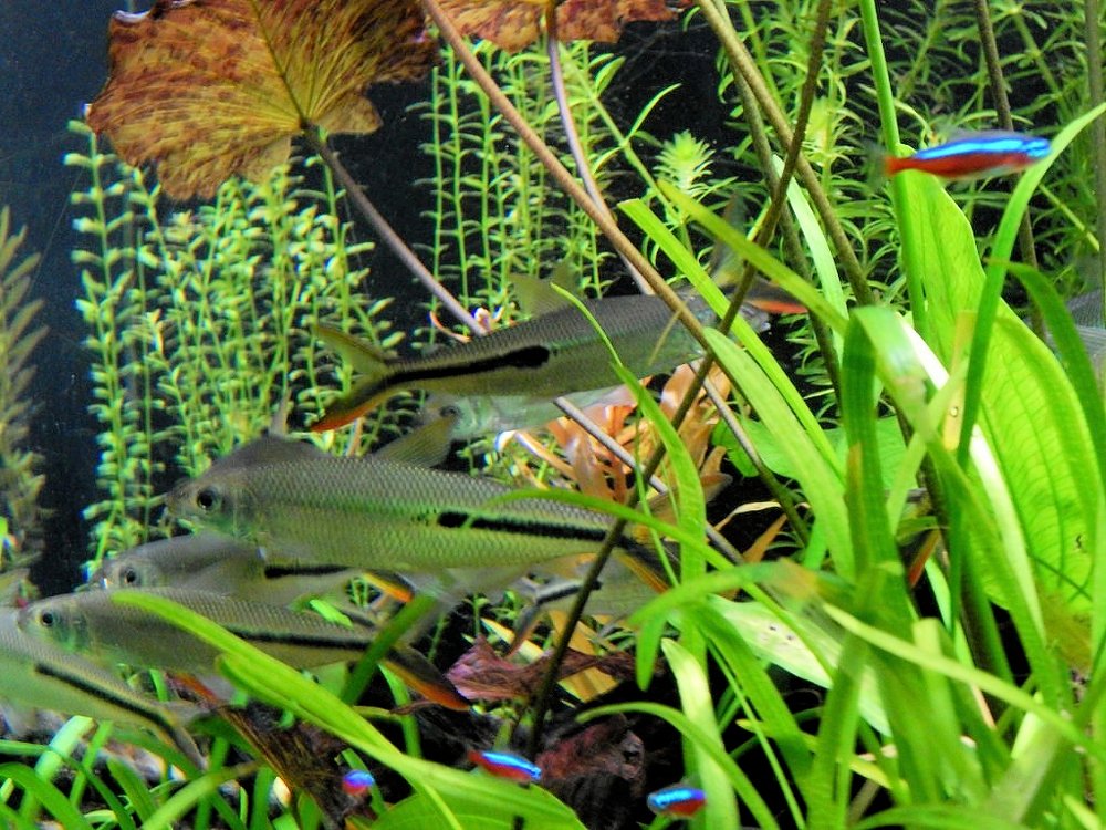 Photograph by Юрий Худяков