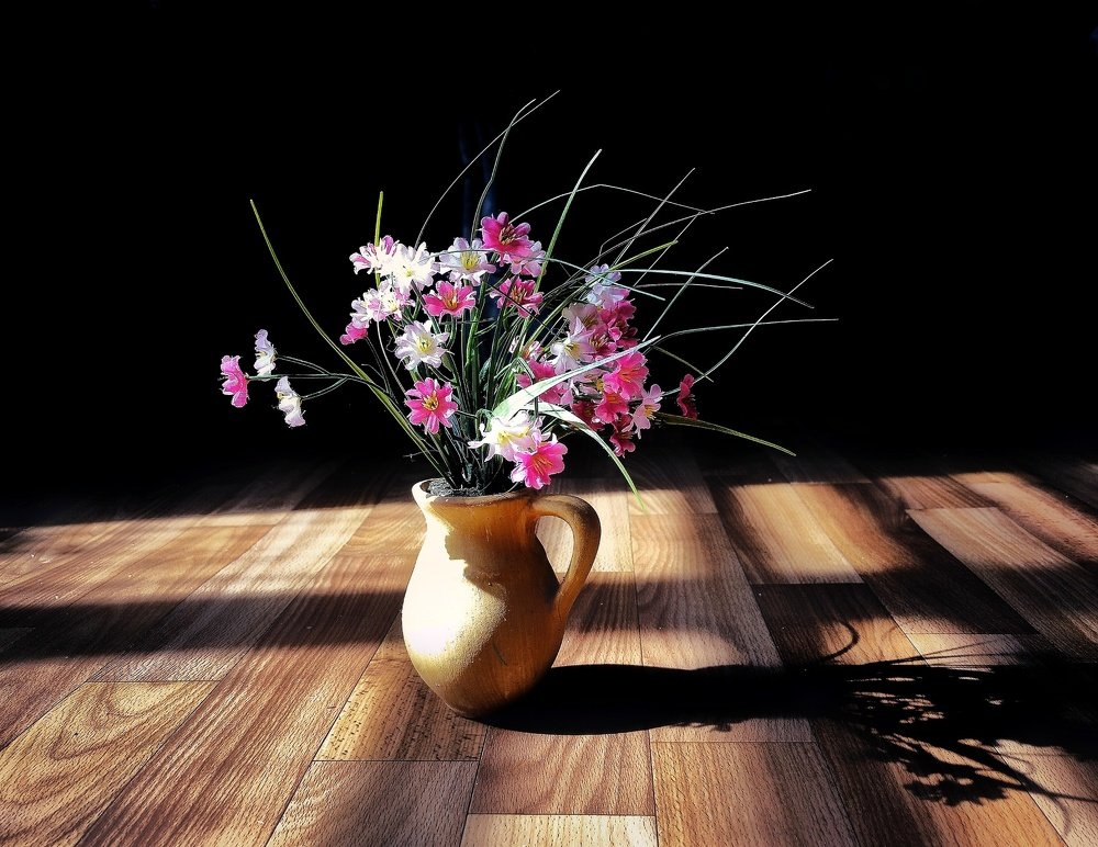 Свет и тень