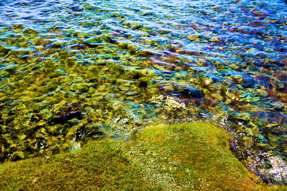 Зелёные воды озера Хубсугул.