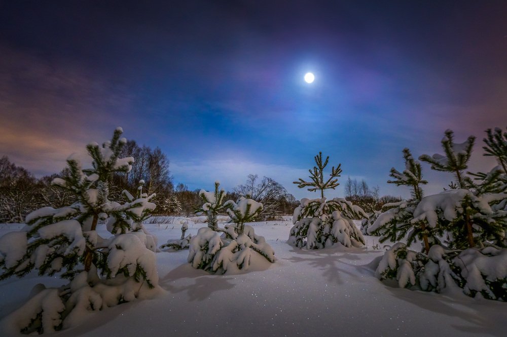 Photograph by Евгений Луцко