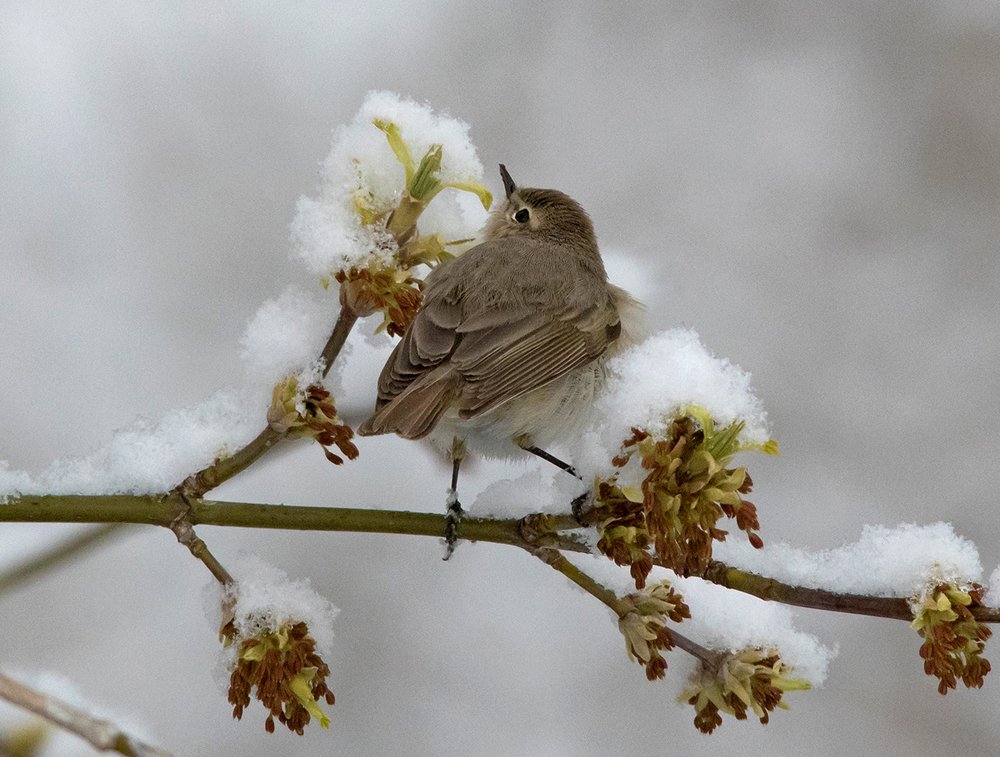 Под нежным одеялом
