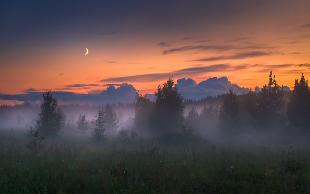 Photograph by Евгений Луцко