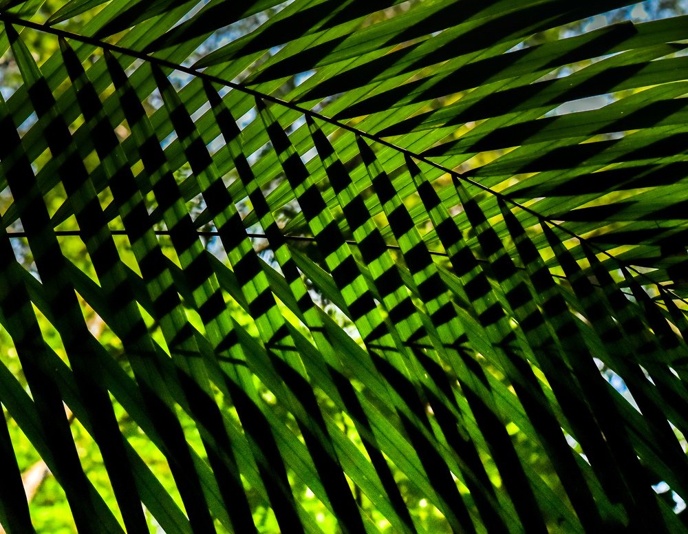 Photograph by HASHIM GOMBRI