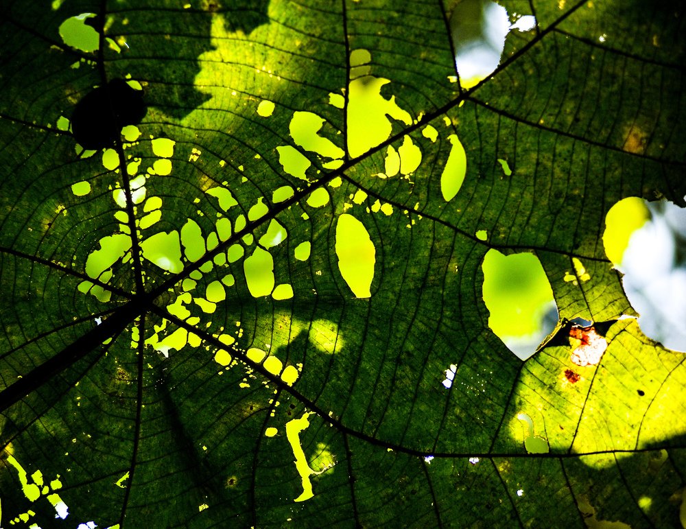 Photograph by HASHIM GOMBRI