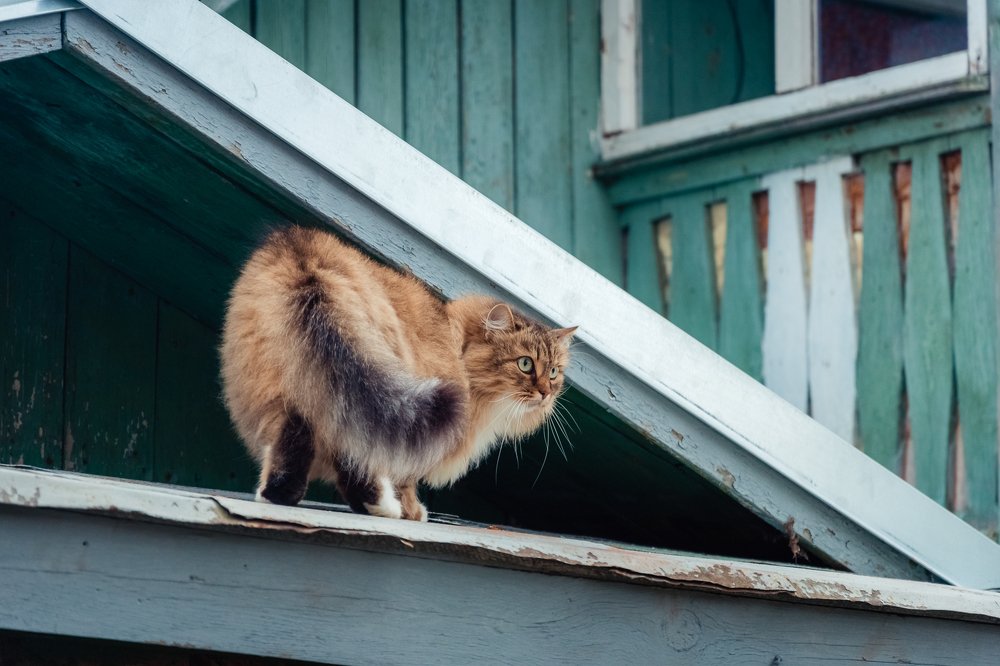 Photograph by Полина Кожухарь