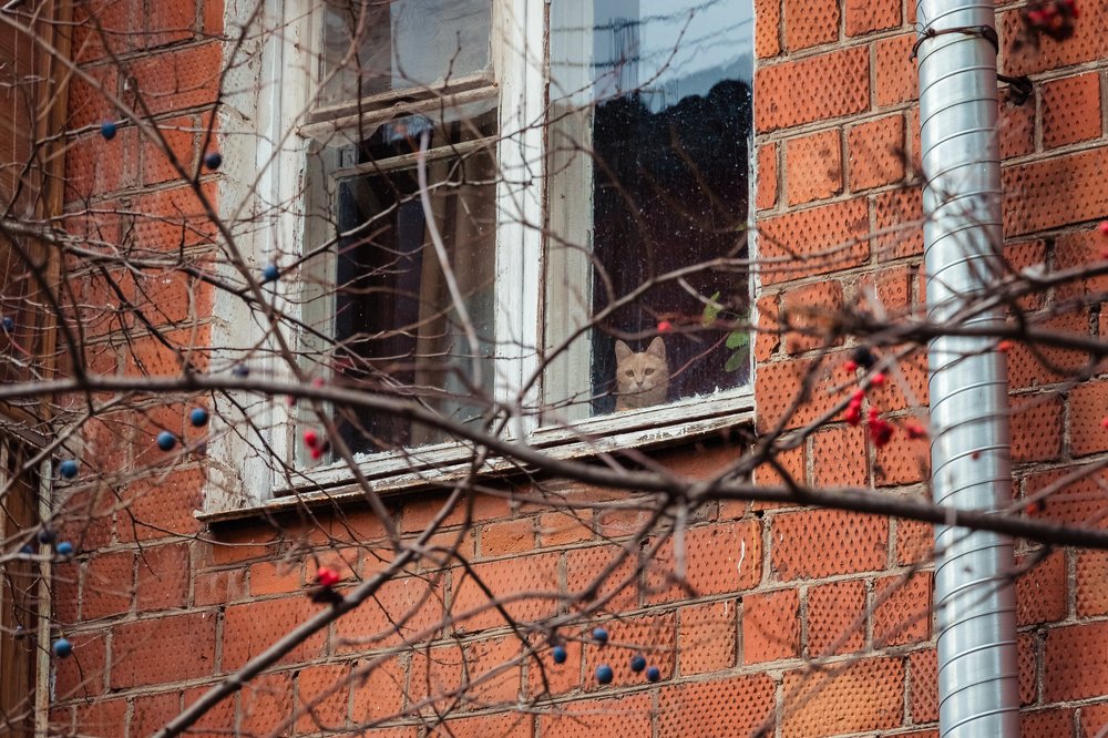 Photograph by Полина Кожухарь