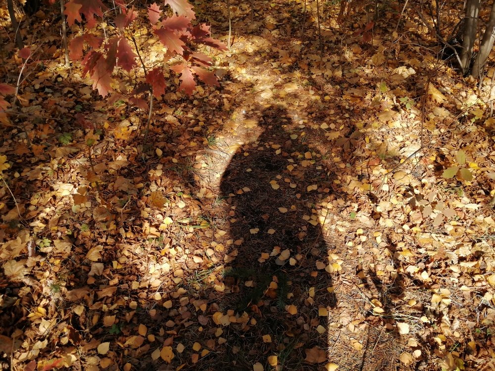 Photograph by Владимир Дорохов