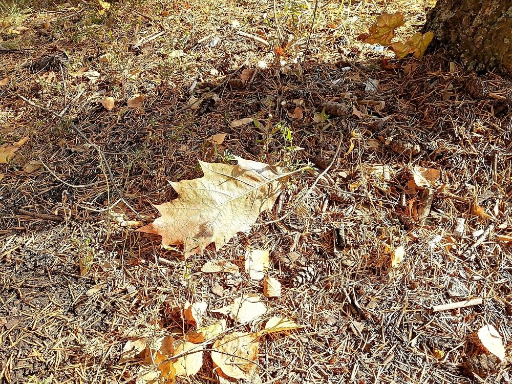 Photograph by Владимир Дорохов