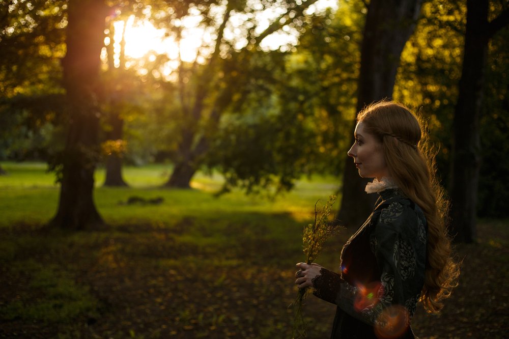 Мыслями с Шекспиром.