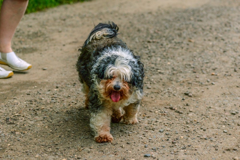 Моя охрана!