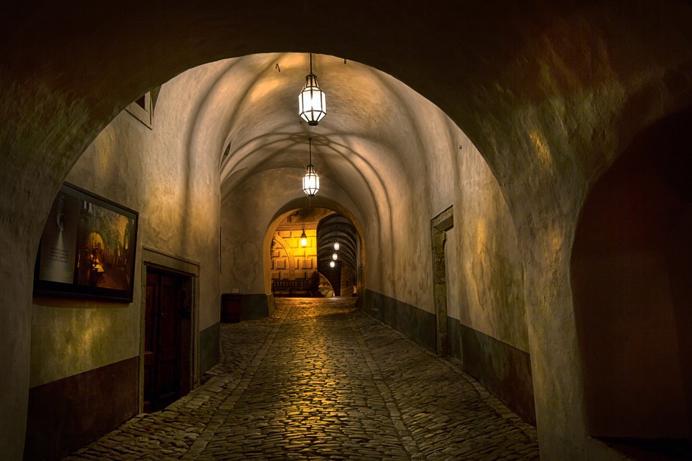 Фотография автора Людмила Прокофьева