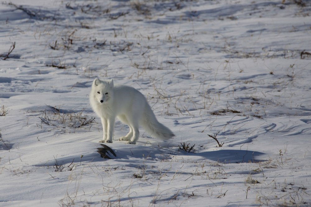 Photograph by Алексей