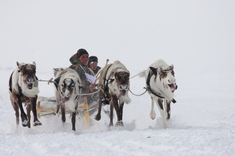 Photograph by Алексей