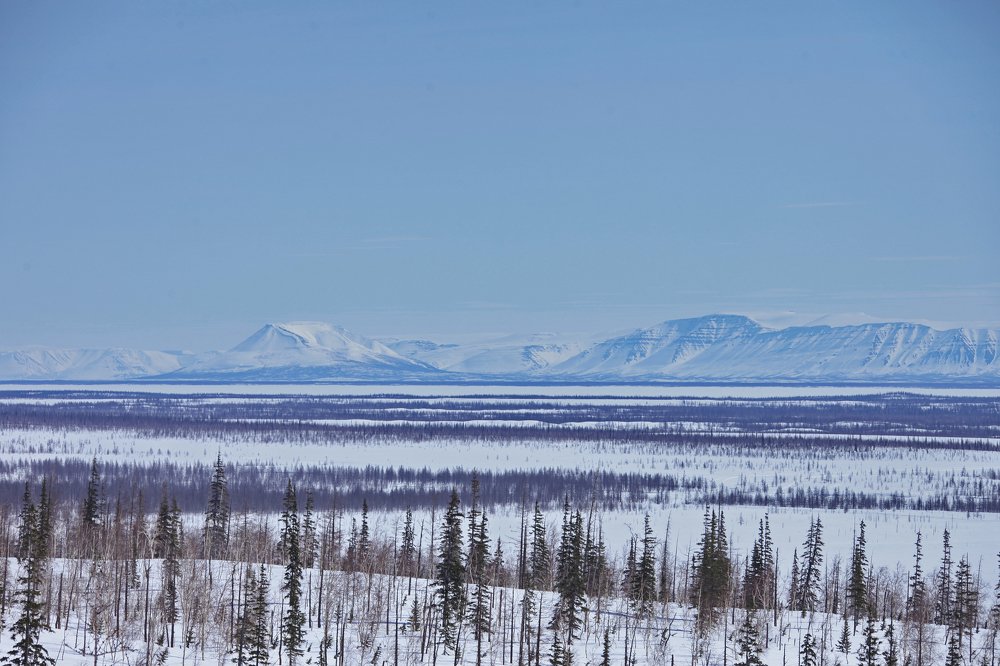 Photograph by Алексей