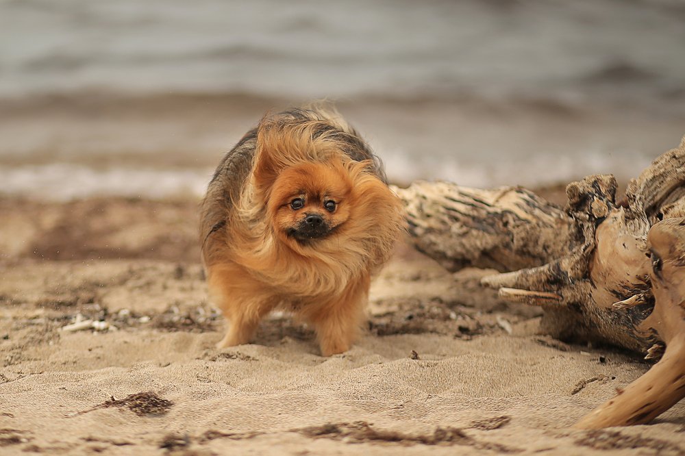 Photograph by Наташа Чипер