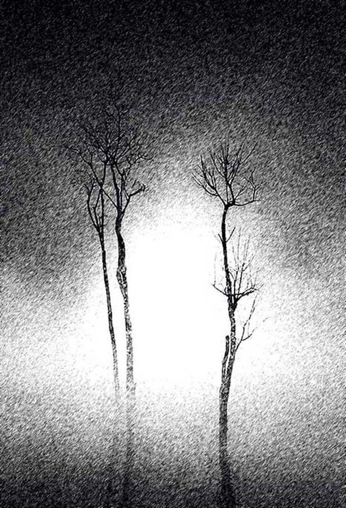 Photograph by Хвостов владимир Владимирович