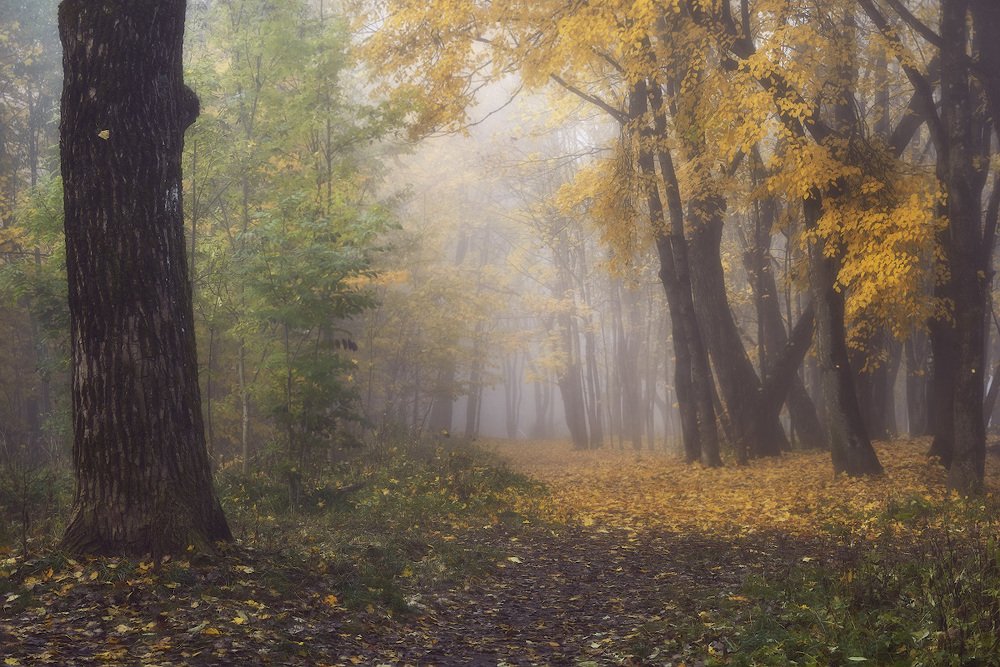 Фотография автора Сергей Овчинников