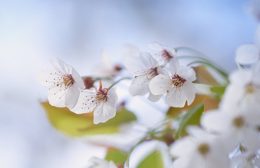 Фотография автора Сергей Овчинников