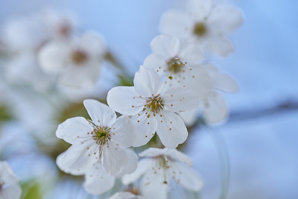 Фотография автора Сергей Овчинников