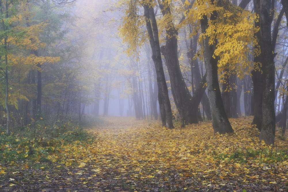 Фотография автора Сергей Овчинников