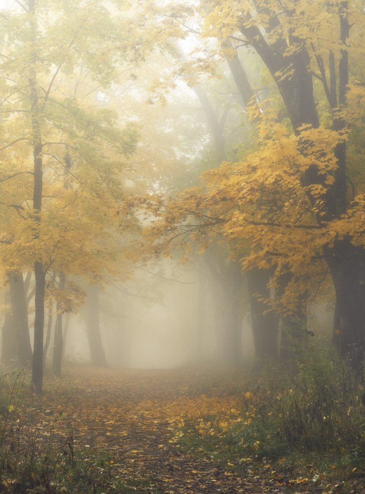 Фотография автора Сергей Овчинников