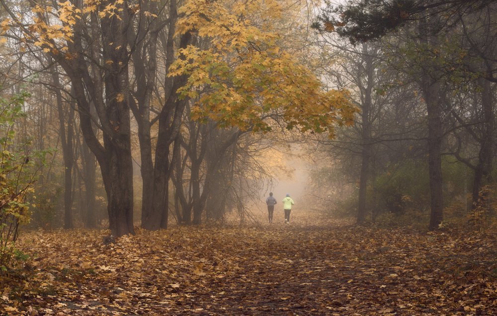 Фотография автора Сергей Овчинников