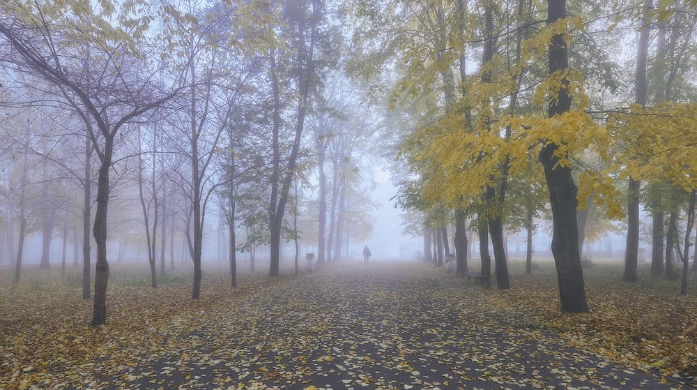 Фотография автора Сергей Овчинников