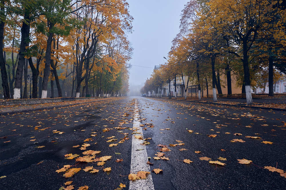 Фотография автора Сергей Овчинников